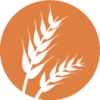 Glúten