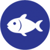 Pescado